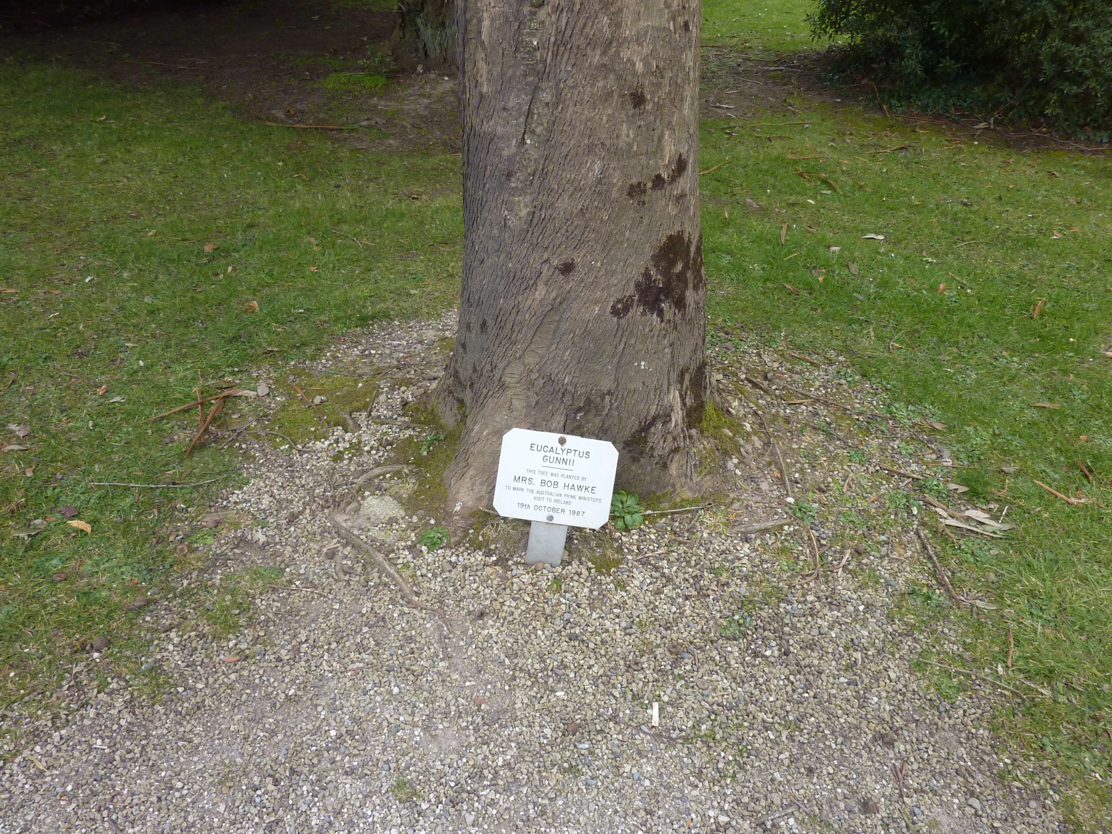 a sign attached to the trunk of a tree in a park