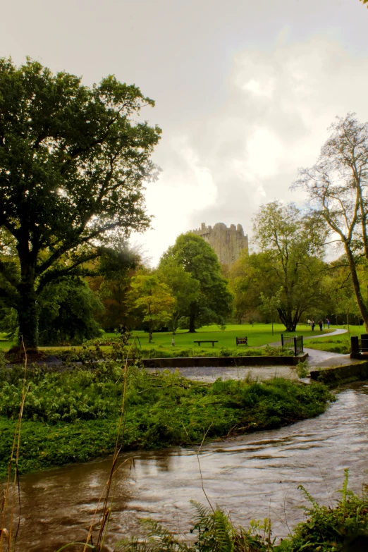 a creek near a park with trees and benches