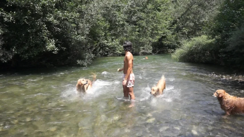 a young man and two dogs playing in the river