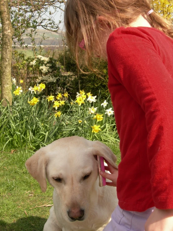 a woman putting an ear band on a dog