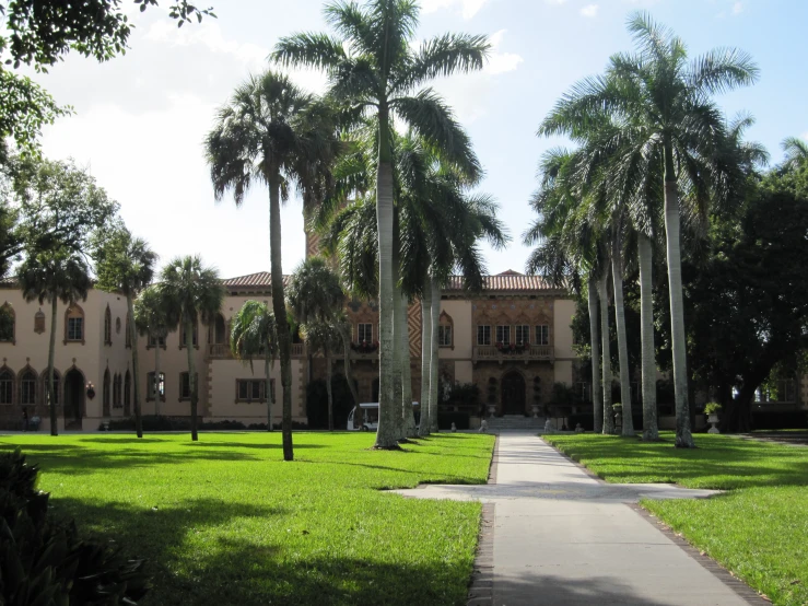 a home with large palm trees in front of it