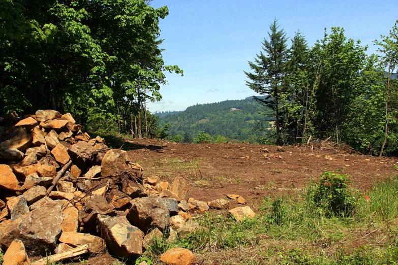 pile of rocks on top of the grass near a forest