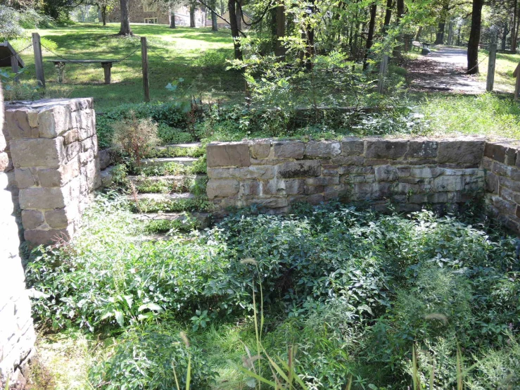 a stone wall surrounded by green plants