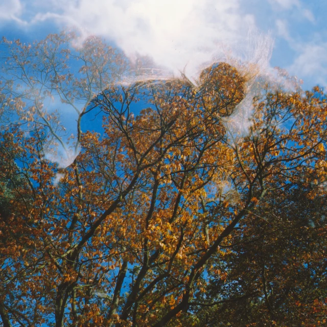 an image of a reflection in the rear window of a car