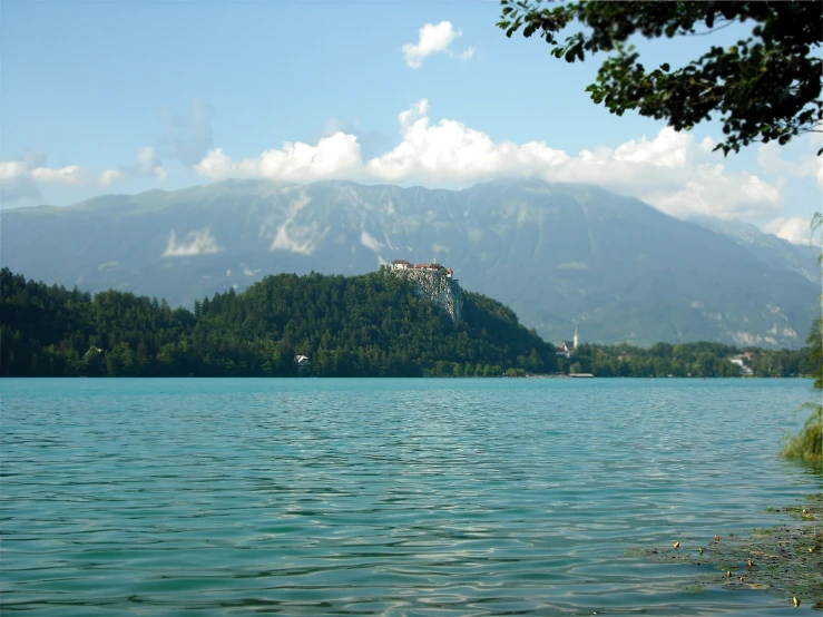 a large body of water with trees in the background