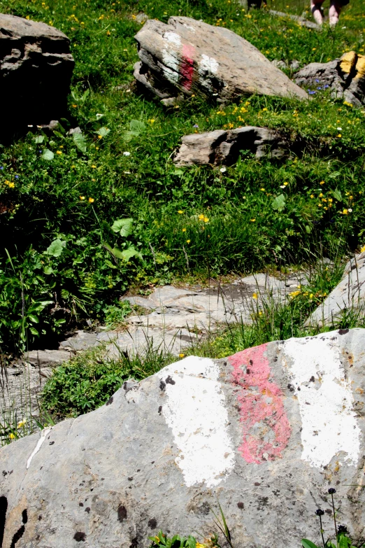 a man walking by a stone with flowers in the grass