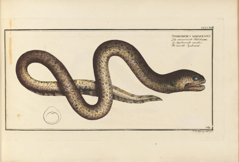 the serpent is one of the most prominent snakes in the world