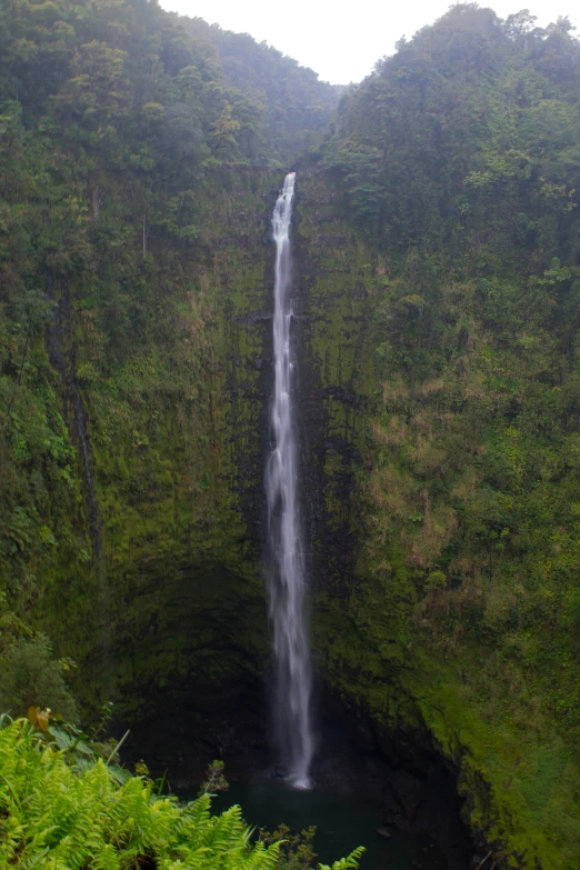 a waterfall cascade in the middle of a green forest