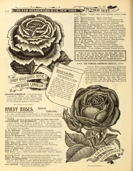 an old book with rose images and other pages