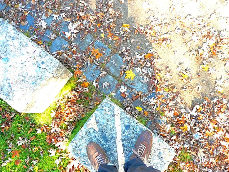 person's legs standing on a wet surface in the middle of leaves