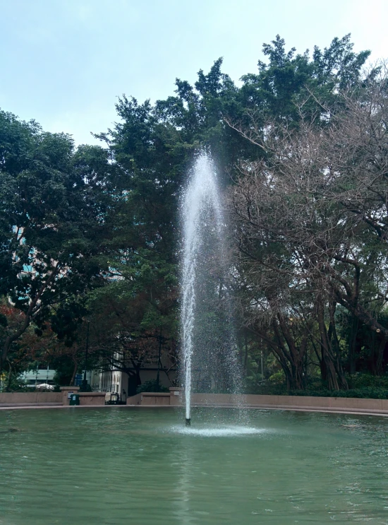 a spouting fountain is in front of some trees