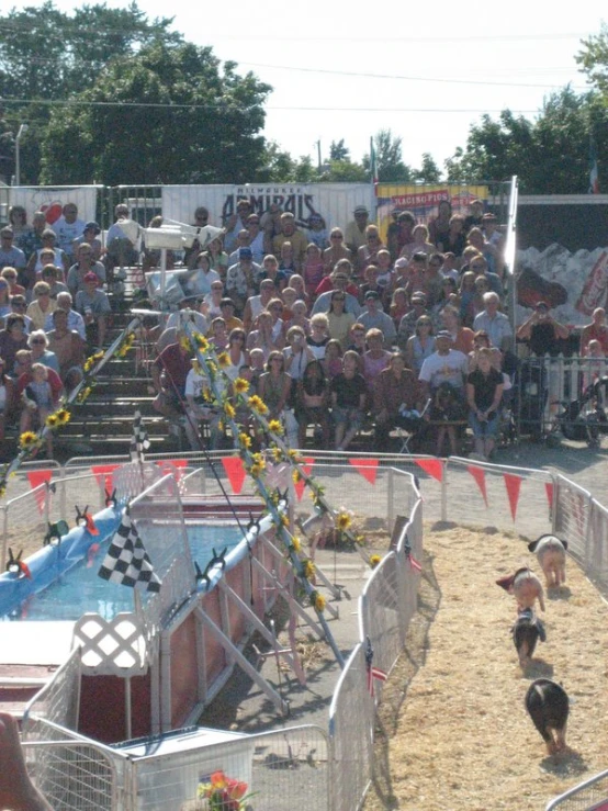 a dog on its back in the water with a crowd behind