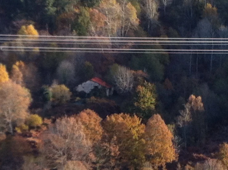 a bird's - eye view of an aerial house in the woods