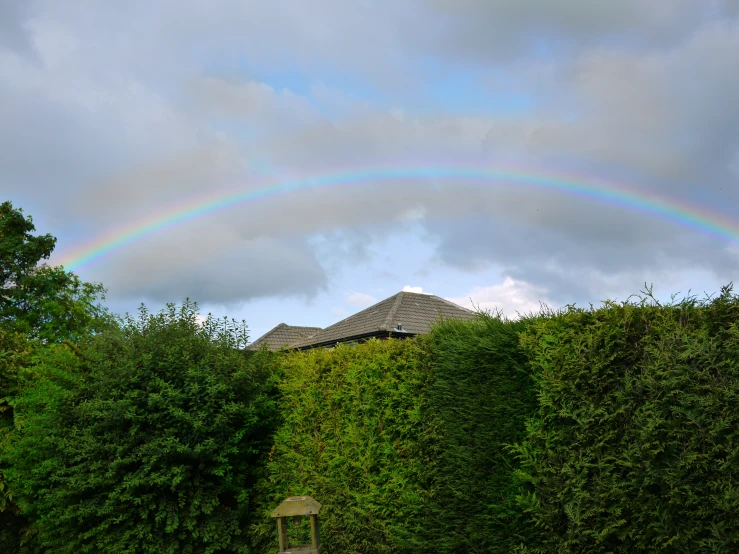 a rainbow appears over the top of a tall building