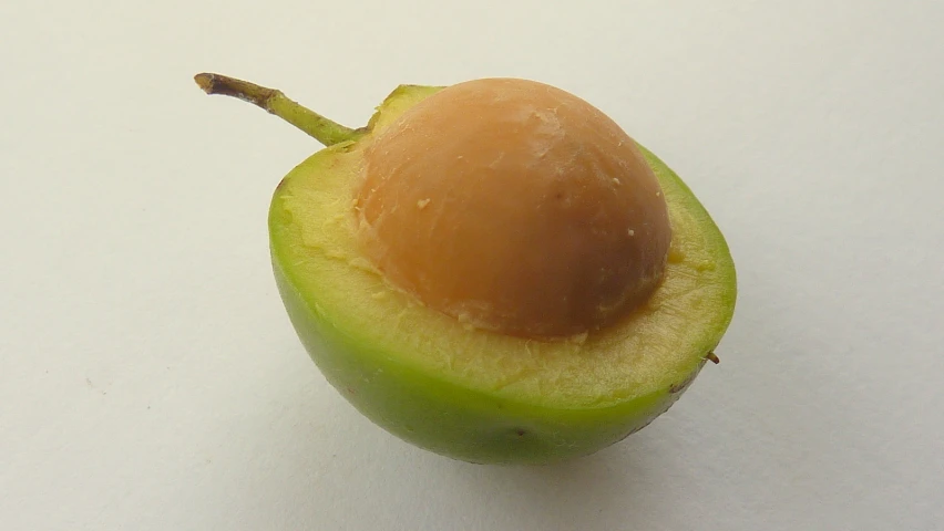 an apple is shown with the peel and nut still attached to it
