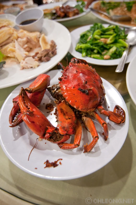 several plates of food including crabs, broccoli and other foods