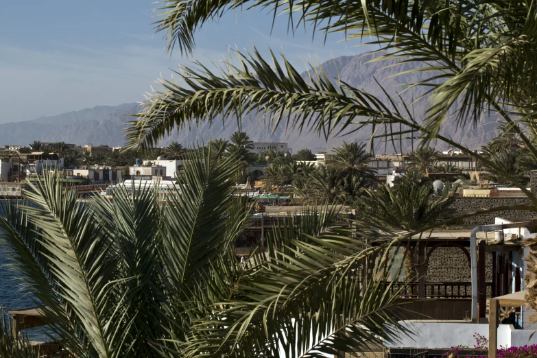 a beautiful view of mountains and a town on the edge