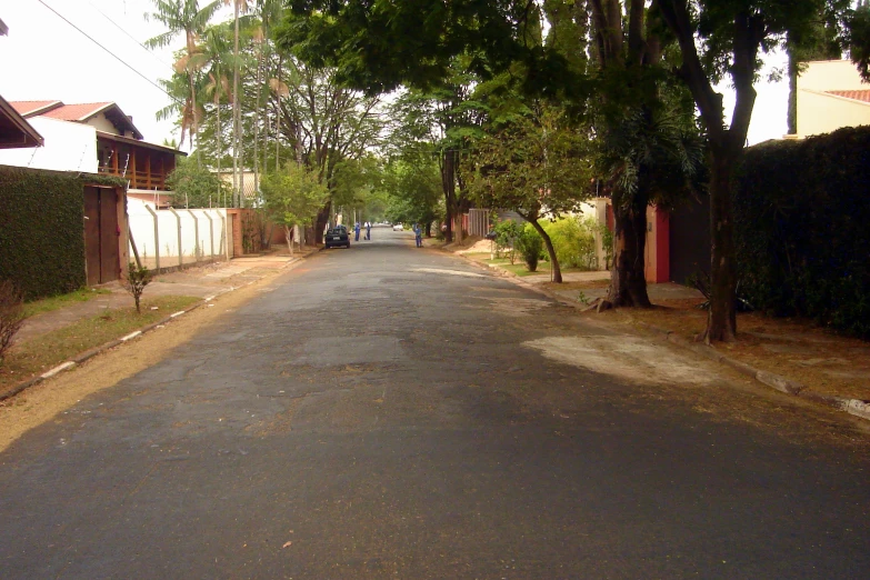 a paved residential street is lined with trees