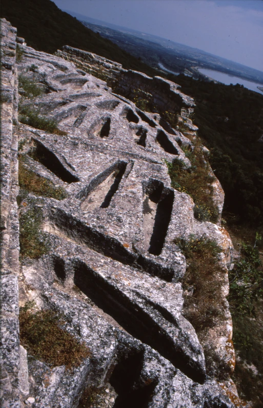 a group of rocks sit in the grass