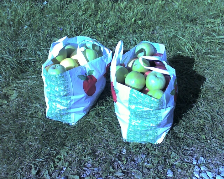 two bags of apples sitting in the grass