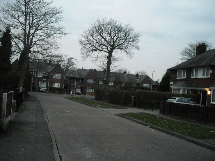 a narrow road with homes on either side and tree in the foreground