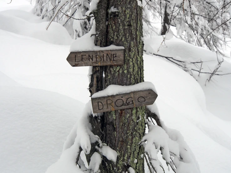 signs pointing to the three towns on a snowy day