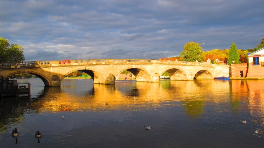 a stone bridge spanning a river with some ducks swimming on it