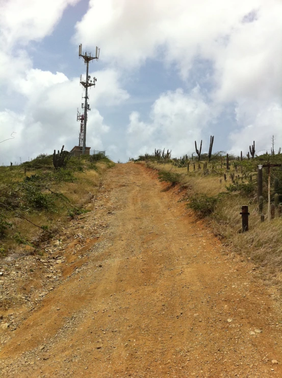 dirt road between two windmills in a dry grassy area