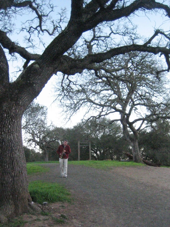 two men sitting on a bench underneath a tree