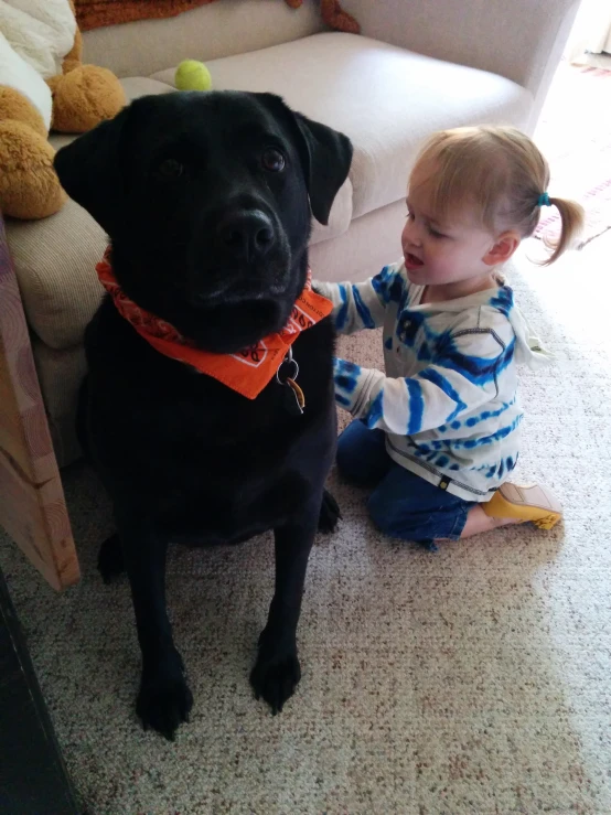 a toddler plays with a black dog and a stuffed animal