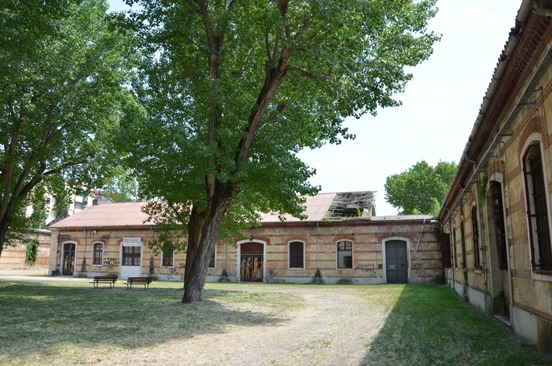 the back of an old house with trees