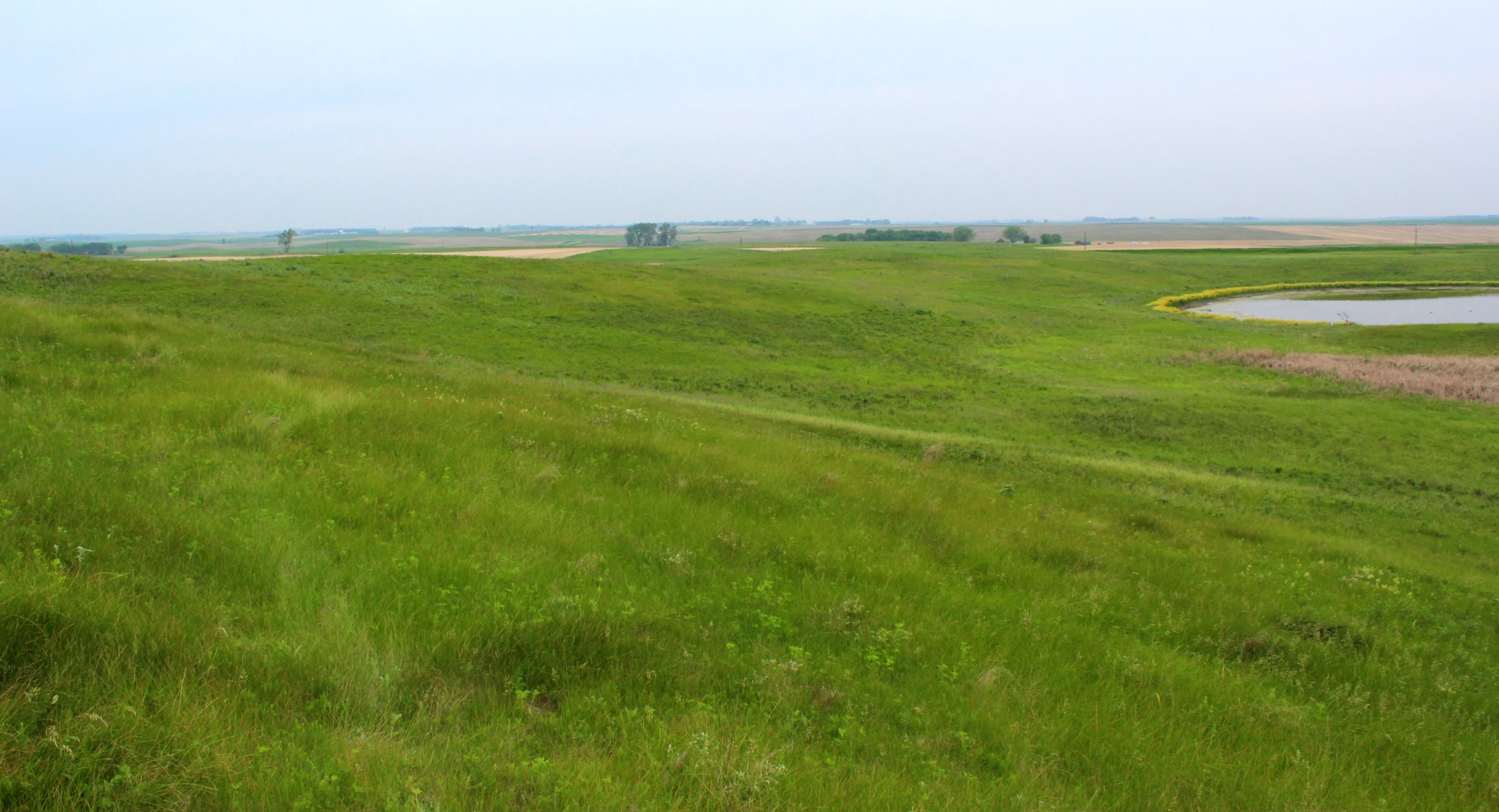 a field is next to a pond and another farm land