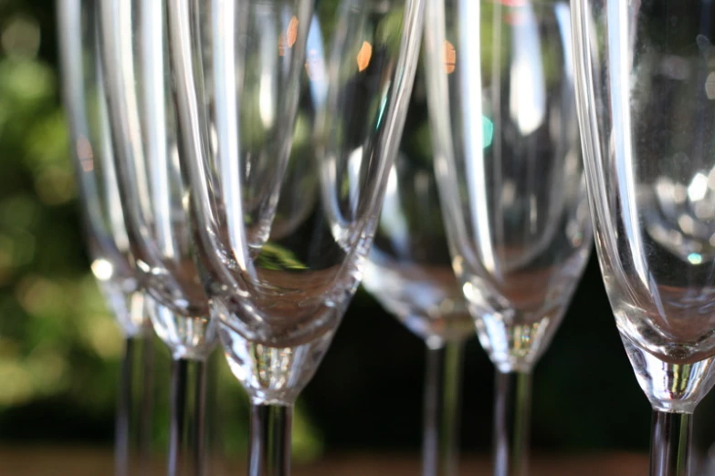 wine glasses in varying sizes on a table