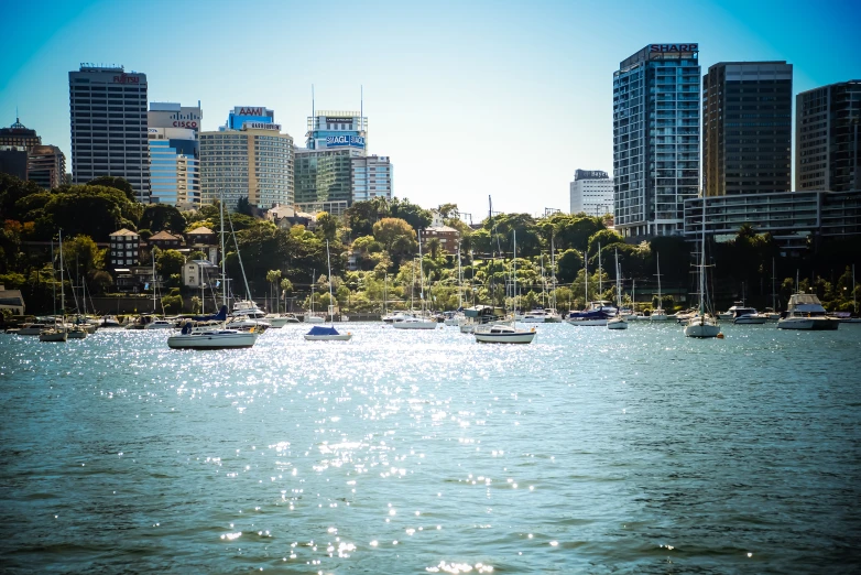 boats floating on the water with a city skyline in the background