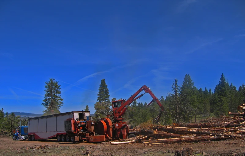 a tree truck is loading a large tree