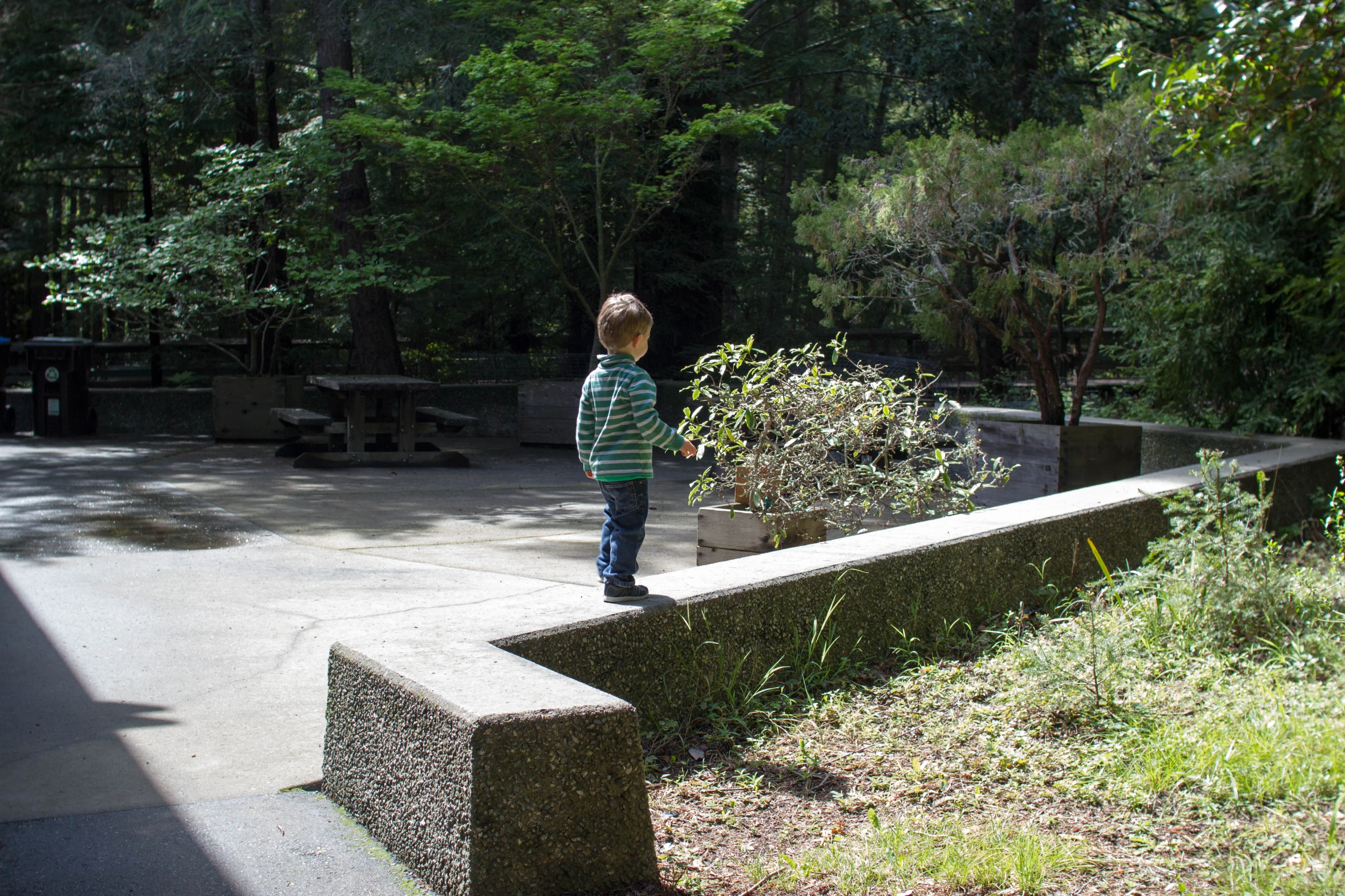 a small child standing at the park holding onto a frisbee