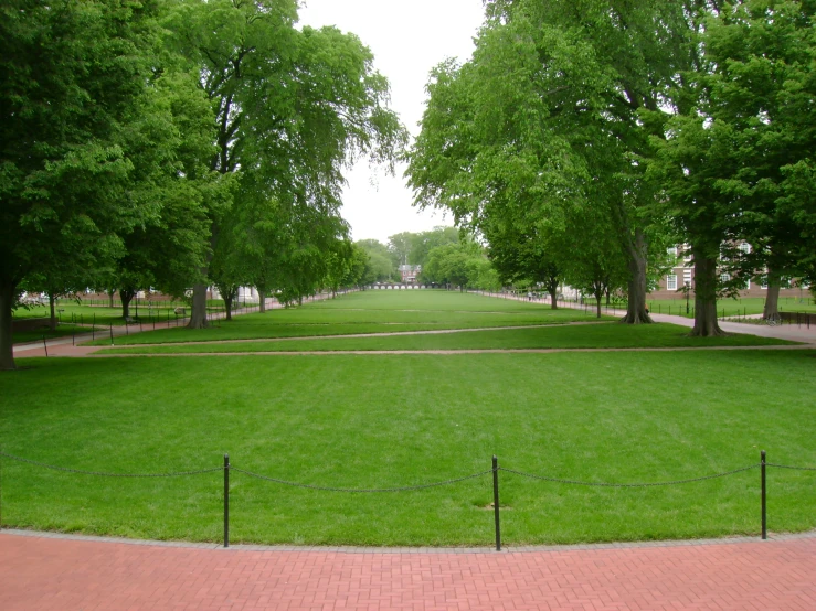 there is a grassy field with trees on each side