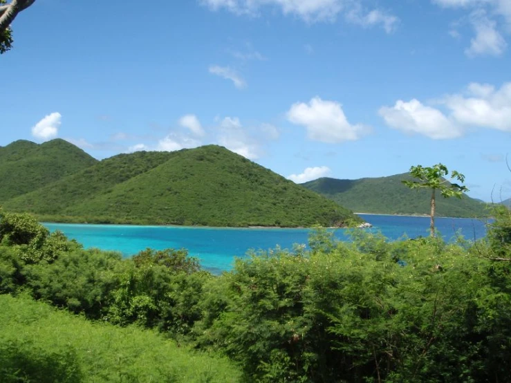 some pretty blue water by some green trees