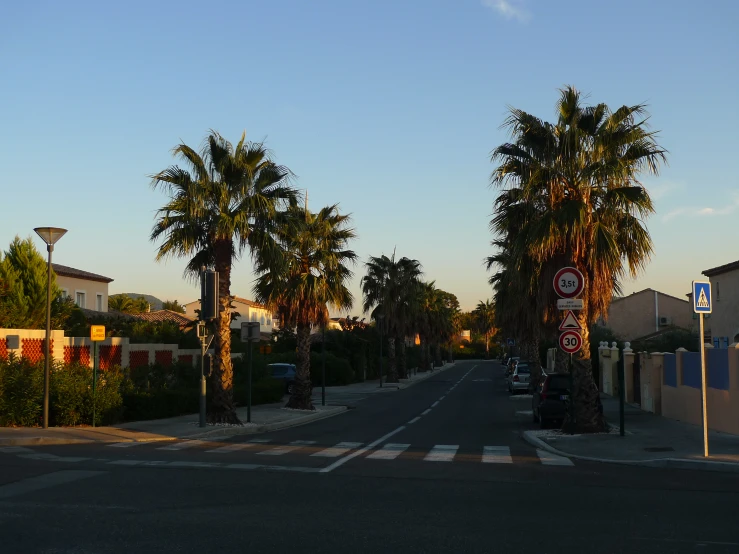 a road with houses and trees on it