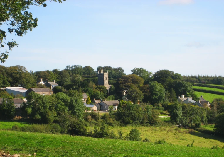 a green field with some buildings near trees