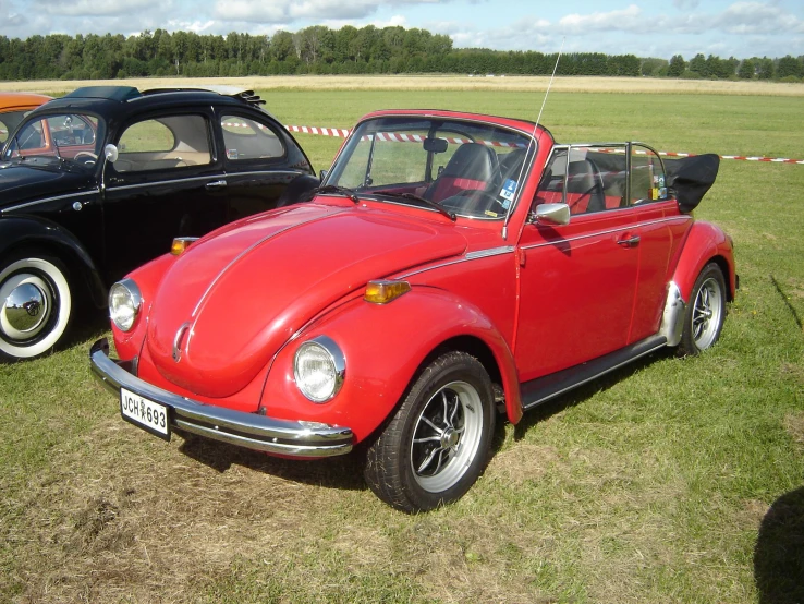 a red vw bug is parked in the grass