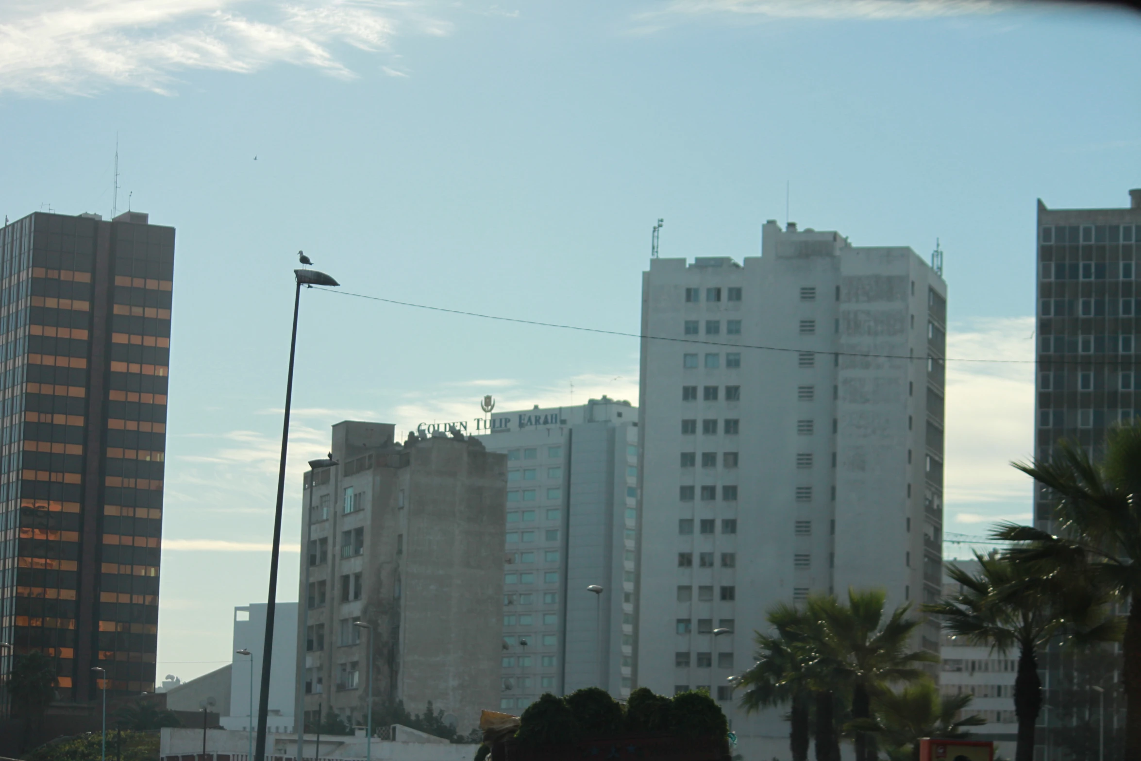 the city skyline is lit by buildings and a street lamp