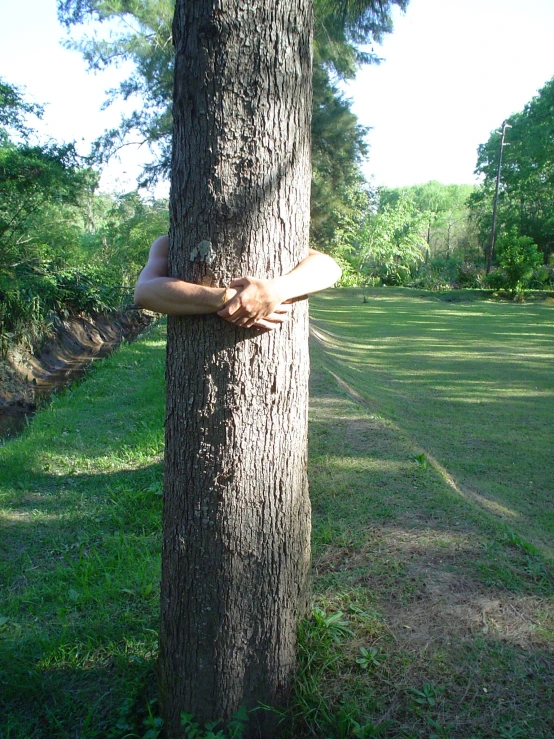 a person that is resting on their arm around a tree