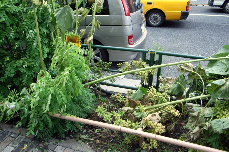 an open window on a van next to some plants