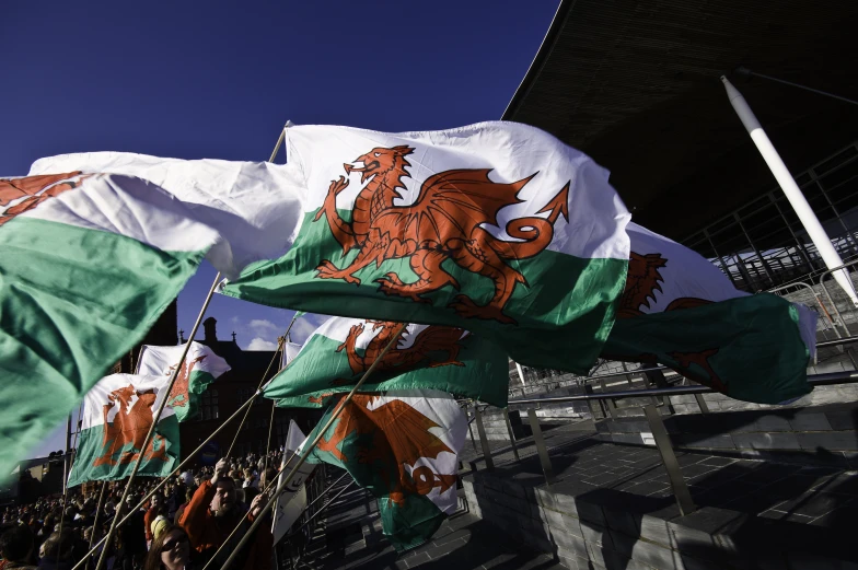 many people holding and waving flags in a stadium