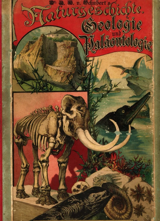 a book cover featuring an elephant and birds