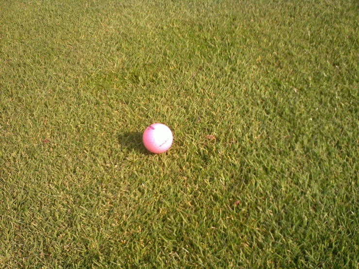 a pink ball sitting on top of a green field