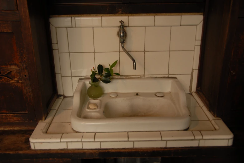 a sink and some plant life in it