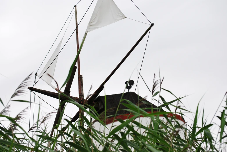 a black sailboat in tall grass on a cloudy day