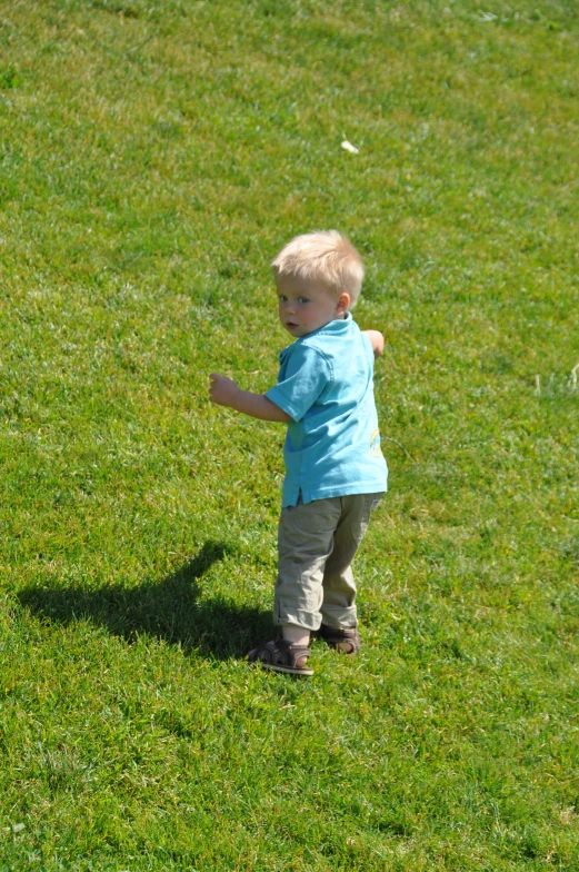 a little boy playing frisbee on a sunny day